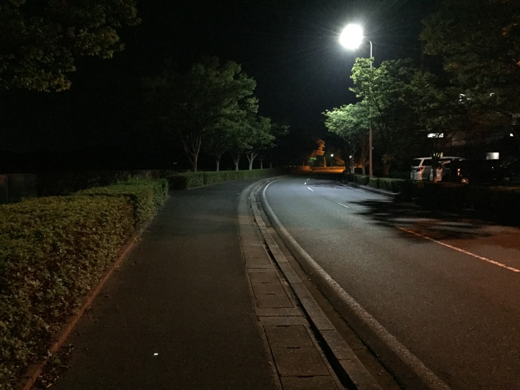 道路灯