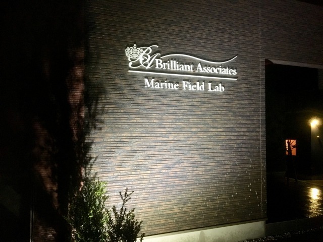 設置実例 光電気ledシステム